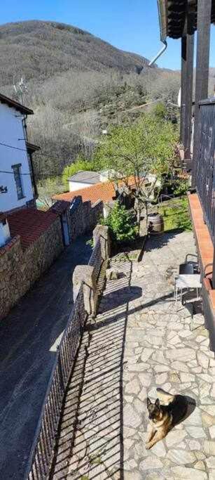 Hostal Montemayor Montemayor del Rio المظهر الخارجي الصورة